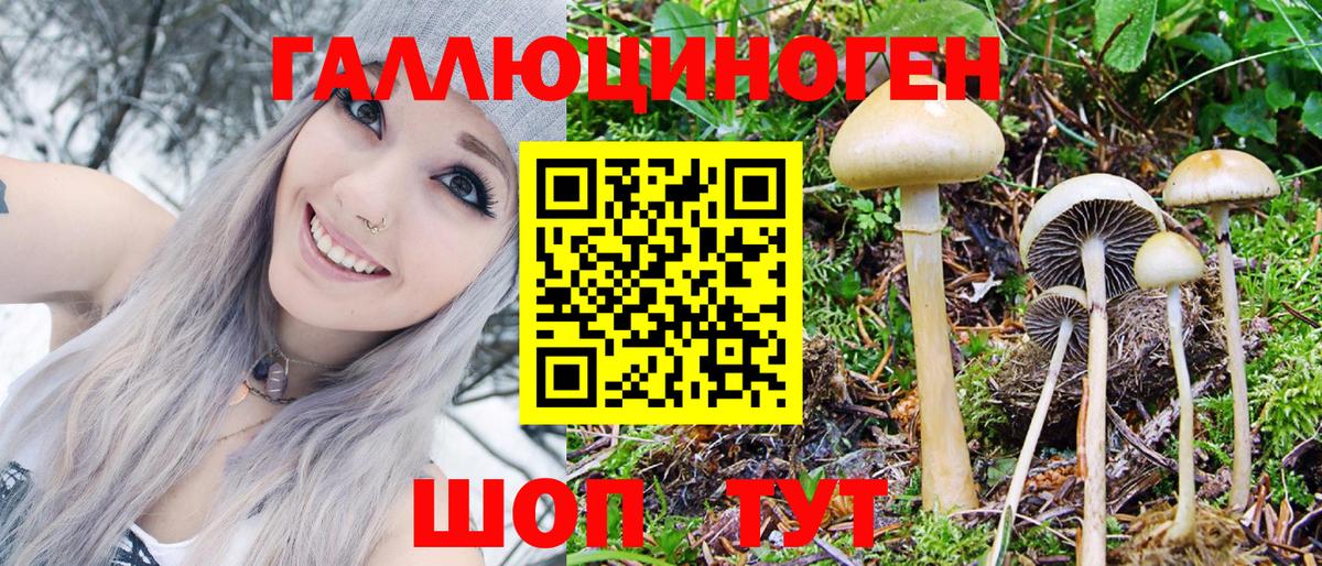 Псилоцибиновые грибы MAGIC MUSHROOMS Ефремов